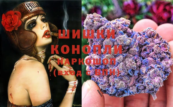 ECSTASY Абаза
