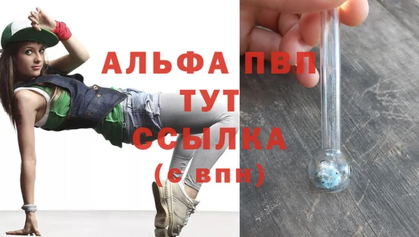 ECSTASY Абаза
