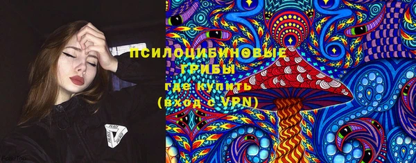ECSTASY Абаза